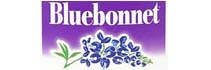 Bluebonnet